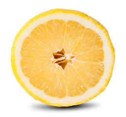 Image showing Slice Of Fresh Lemon