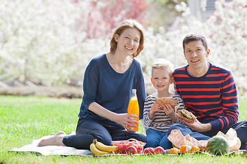 Image showing family picnic