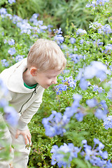 Image showing kid at spring