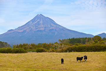 Image showing mount taranaki in new zealand