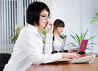 Image showing Young attractive business ladies working in office