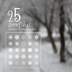 Image showing 25 vector snowflakes