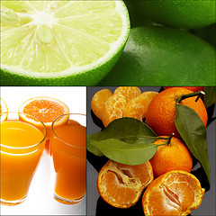 Image showing citrus fruits collage