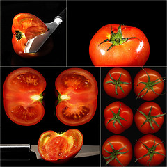 Image showing tomatoes collage