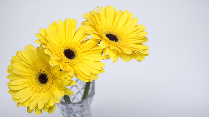 Image showing Bouquet of yellow gerberas 