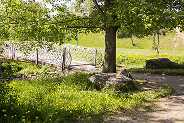 Image showing Poplar near the bridge over the river in summer