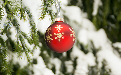 Image showing Christmas red ball in winter forest 