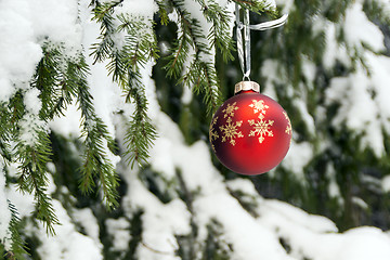 Image showing New year red ball on winter forest background