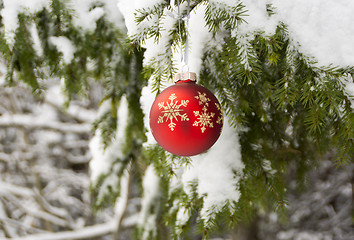 Image showing Christmas red ball on winter snow 