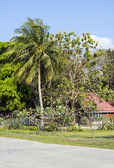 Image showing Cosy cottage among palm trees