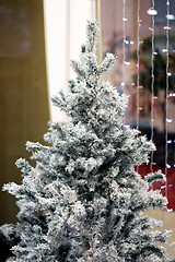 Image showing Christmas tree