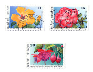 Image showing Collectible postage stamps