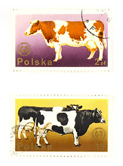 Image showing Old postage stamps from Poland