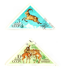 Image showing Vintage wildlife stamps