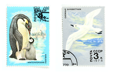 Image showing Soviet Union postage stamps