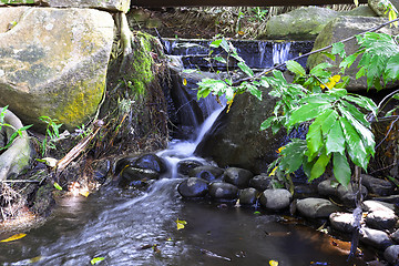 Image showing Forest Creek.