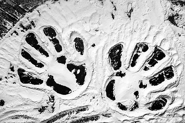 Image showing Hand prints in flour