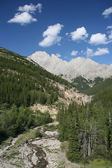 Image showing River in Rocky Mountains