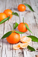 Image showing fresh tangerines with leaves 