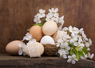 Image showing Easter eggs and  flowers 