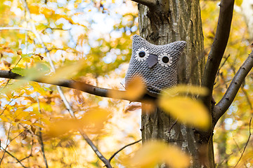 Image showing Soft toy owl is placed in autumn forest