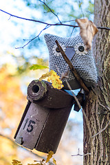 Image showing Soft toy owl is placed in autumn forest