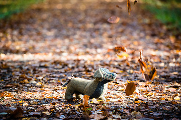 Image showing Soft toy dog is placed in autumn forest