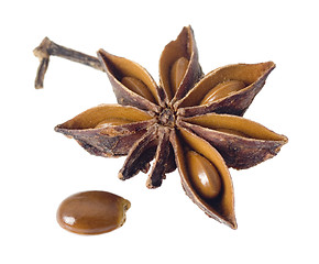 Image showing Star anise

