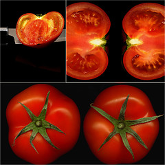 Image showing tomatoes collage