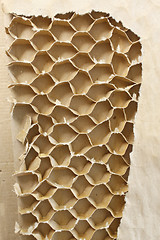 Image showing Inner part of cardboard