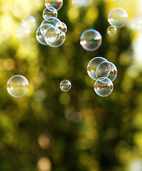 Image showing Soap bubbles