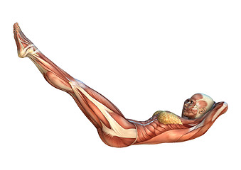 Image showing Muscle Maps