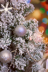 Image showing Christmas tree closeup