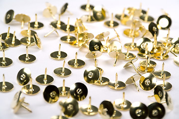 Image showing Isolated brass tacks