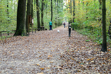 Image showing Forest Path