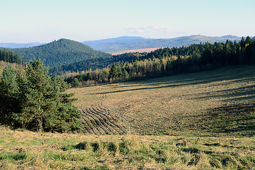 Image showing Landscape