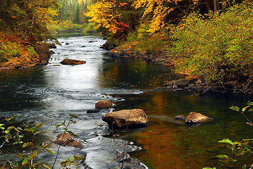 Image showing Forest river in the fall