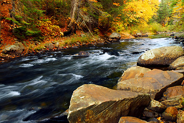 Image showing Forest river in the fall