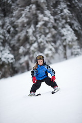 Image showing Little ski girl