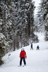 Image showing Little skiers