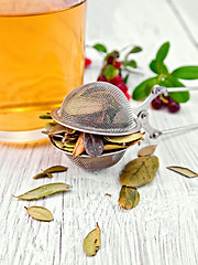 Image showing Lingonberry leaf in strainer with cup of tea