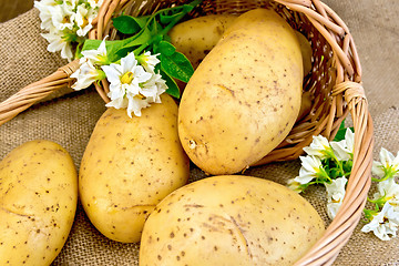 Image showing Potato yellow with basket and flower on sacking