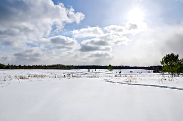 Image showing Winter field and forest