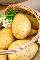 Image showing Potatoes yellow with flower in basket on sackcloth and board