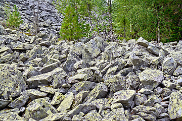 Image showing Stones with yellow mold at the foot of the mountain