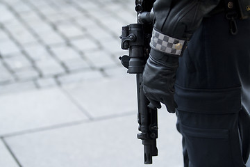 Image showing Armed Police