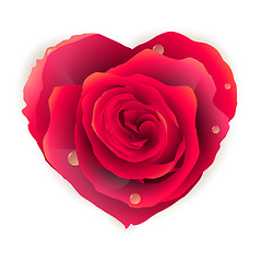 Image showing Isolated beautiful red rose heart. EPS 10