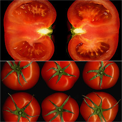 Image showing tomatoes collage