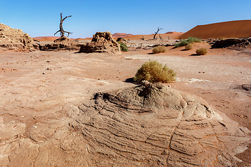 Image showing Sossusvlei beautiful landscape of death valley