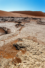 Image showing Sossusvlei beautiful landscape of death valley